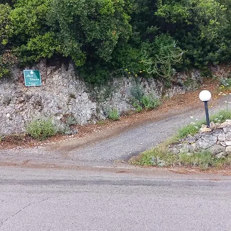 Sterna Aris * Pyrgi (Corfu)