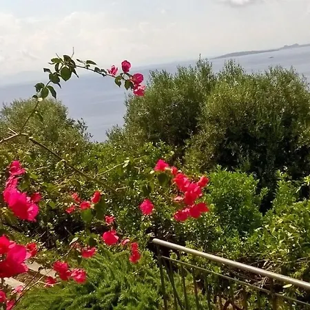 Apartament Sterna