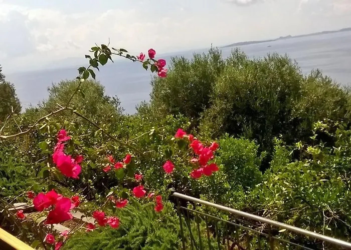 Appartement Sterna